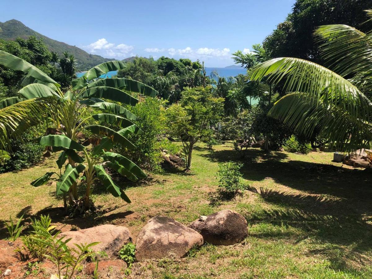 Mirella Villa Anse Volbert Village Extérieur photo